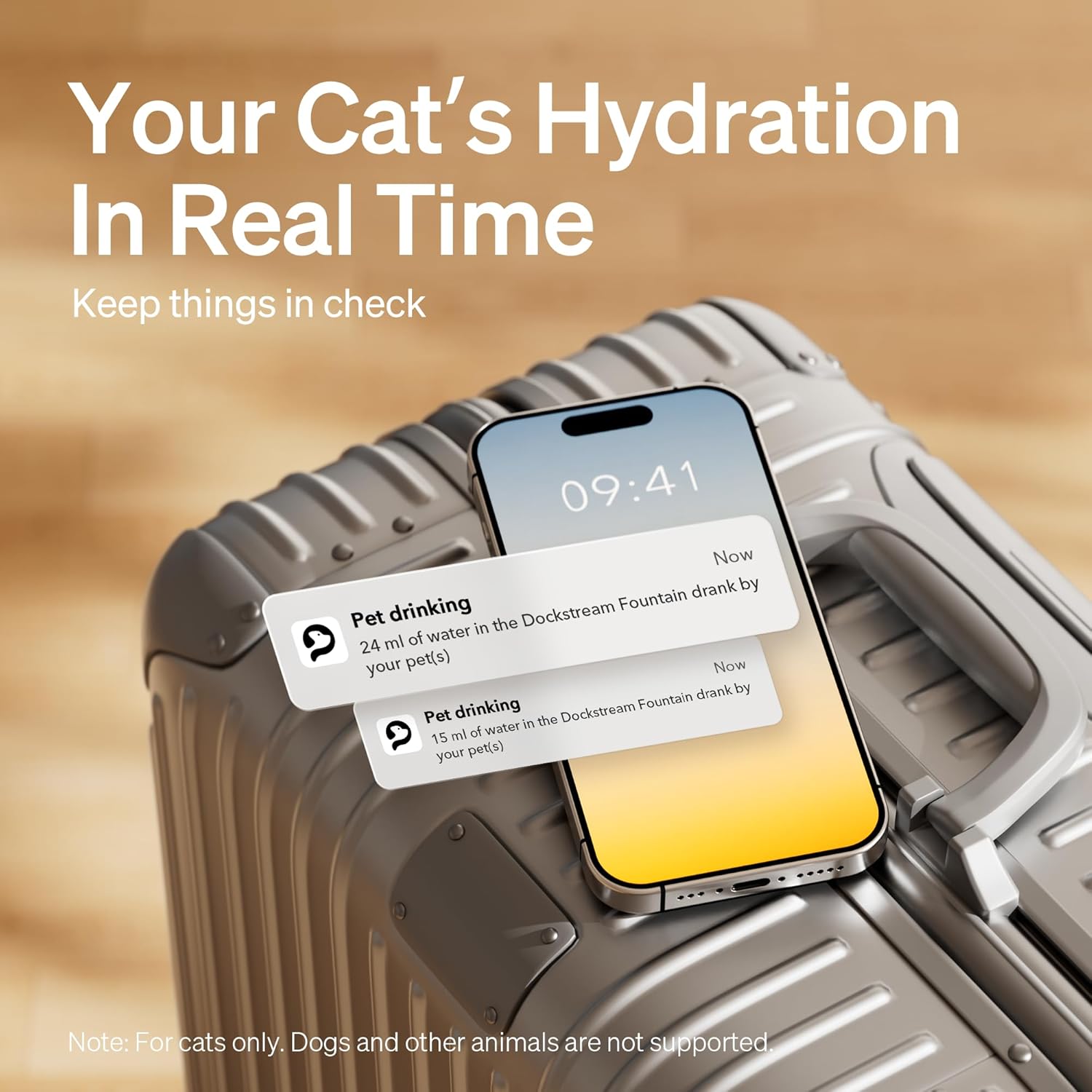Dockstream App-Connected Fountain