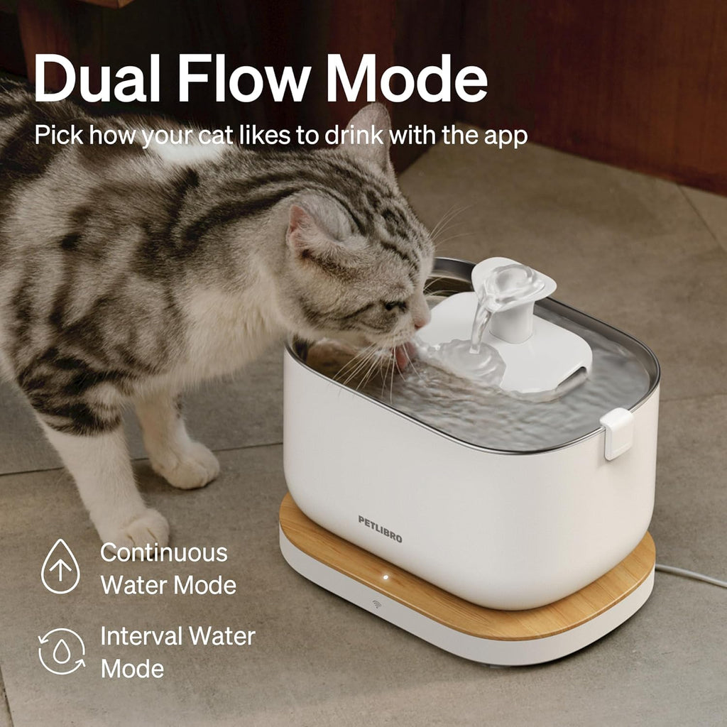 Dockstream App-Connected Fountain
